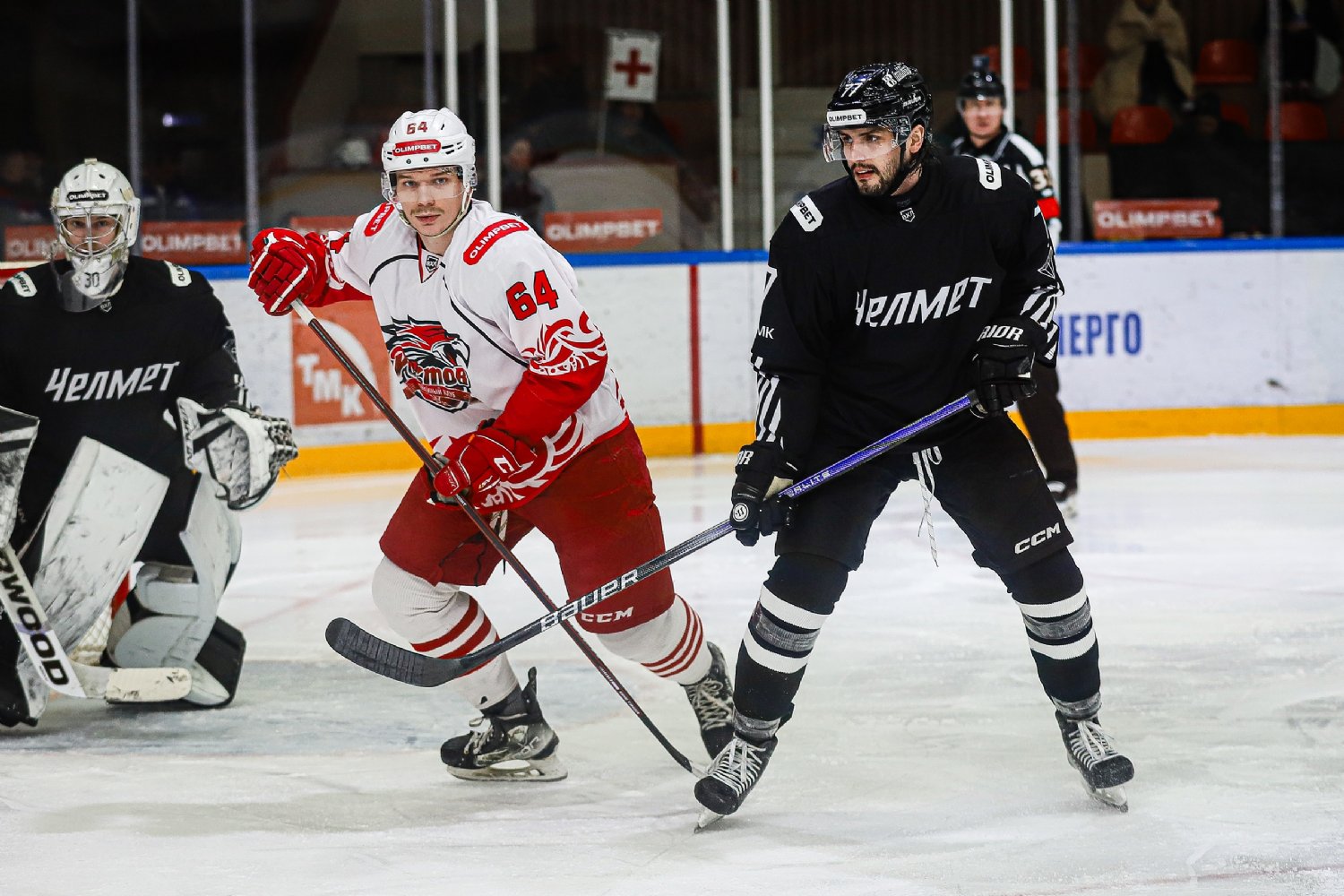 Характер хищных птиц