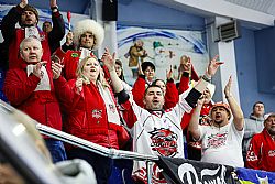 Всем по шайбе