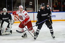 Характер хищных птиц